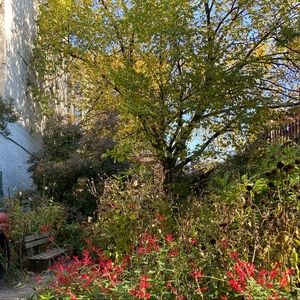 Meet your Posher, oh_snap